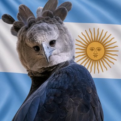 Rofex360's profile picture