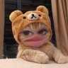 🎀اژدهای صورتی🦕's profile picture
