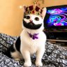 SIDI's profile picture