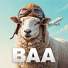 BAA profil fotoğrafı