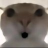 weerere's profile picture