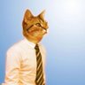 a2k #amorimism's profile picture