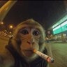 Iam Him 的头像