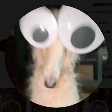 ام عيون زايغه 😅's profile picture
