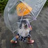 Фото профиля めめこ