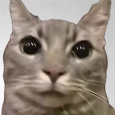 Some_Indo_News's profile picture