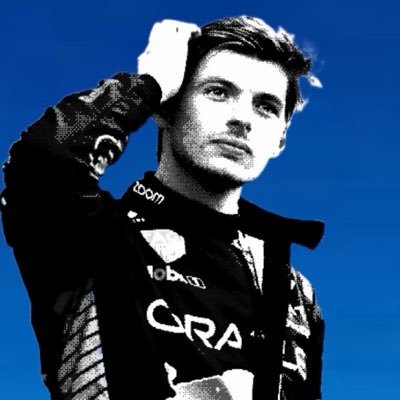 teamverstappen's profile picture