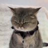 Sarah_'s profile picture