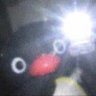 もりめ's profile picture