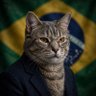 Фото профиля Gato Mestre