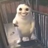さなだはる's profile picture