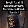 Adnan Sezgin's profile picture