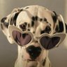Big_briggs profil fotoğrafı