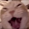 nahiek's profile picture