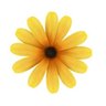 shryfhabdulla profil fotoğrafı