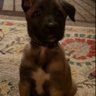 Profilbild von DonnaMarie0806