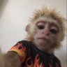 Ron Adin's profile picture