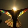 JaylordWTM ✝️ profil fotoğrafı