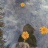 نـَـائِلَهْ🇵🇸🌼 profil fotoğrafı