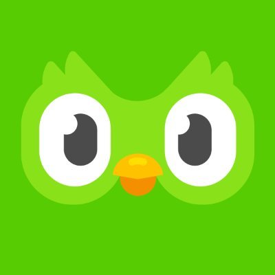 DuolingoBrasil's profile picture