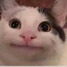 Tomsam10's profile picture