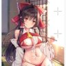 Profilbild von reimu
