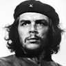 Che 的头像