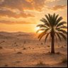 Фото профиля ابو محمد