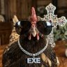 Фото профиля Chicken.Exe
