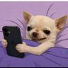 LES LIMITES ONT LES BLAGUES 🫵🏾 profil fotoğrafı