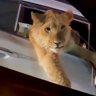john wick kasami's profile picture