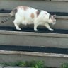 juls profil fotoğrafı