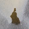 D16's profile picture