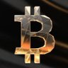 Bitcoiner's profile picture