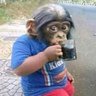 Profilbild von demir