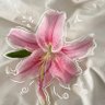 Фото профиля florathefae🧚🏼
