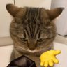 Abhijeet#Donewithfooty profil fotoğrafı