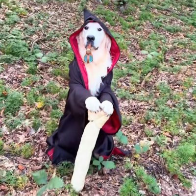 Trooly's profile picture