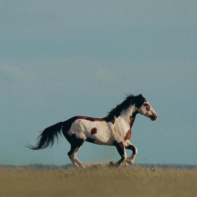 Annakarenil8's profile picture