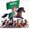 مشاكس ( النخبوي الأول)💚🤍🏆🏆🫡 profil fotoğrafı