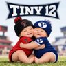 Tiny 12 的头像