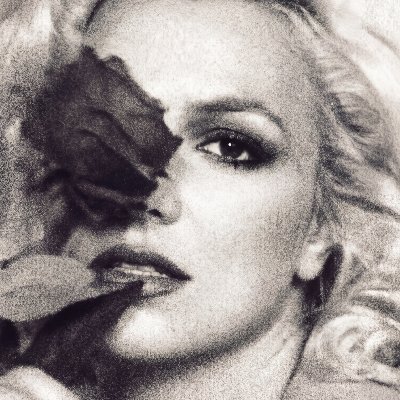 thespearsdeluxe's profile picture