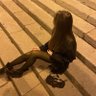 yan 的头像