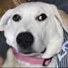 Фото профиля Emma’s Side Eye