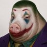 jg0305's profile picture