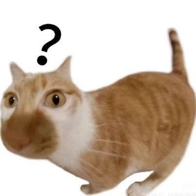 tototo's profile picture