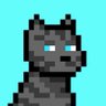 Profilbild von GrumpyX.eth