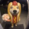 xXShrimpXx's profile picture