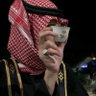 عبدالله 🇸🇦 profil fotoğrafı