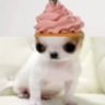 Profilbild von luli